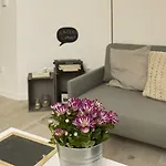 カーサ ダ イレーネ